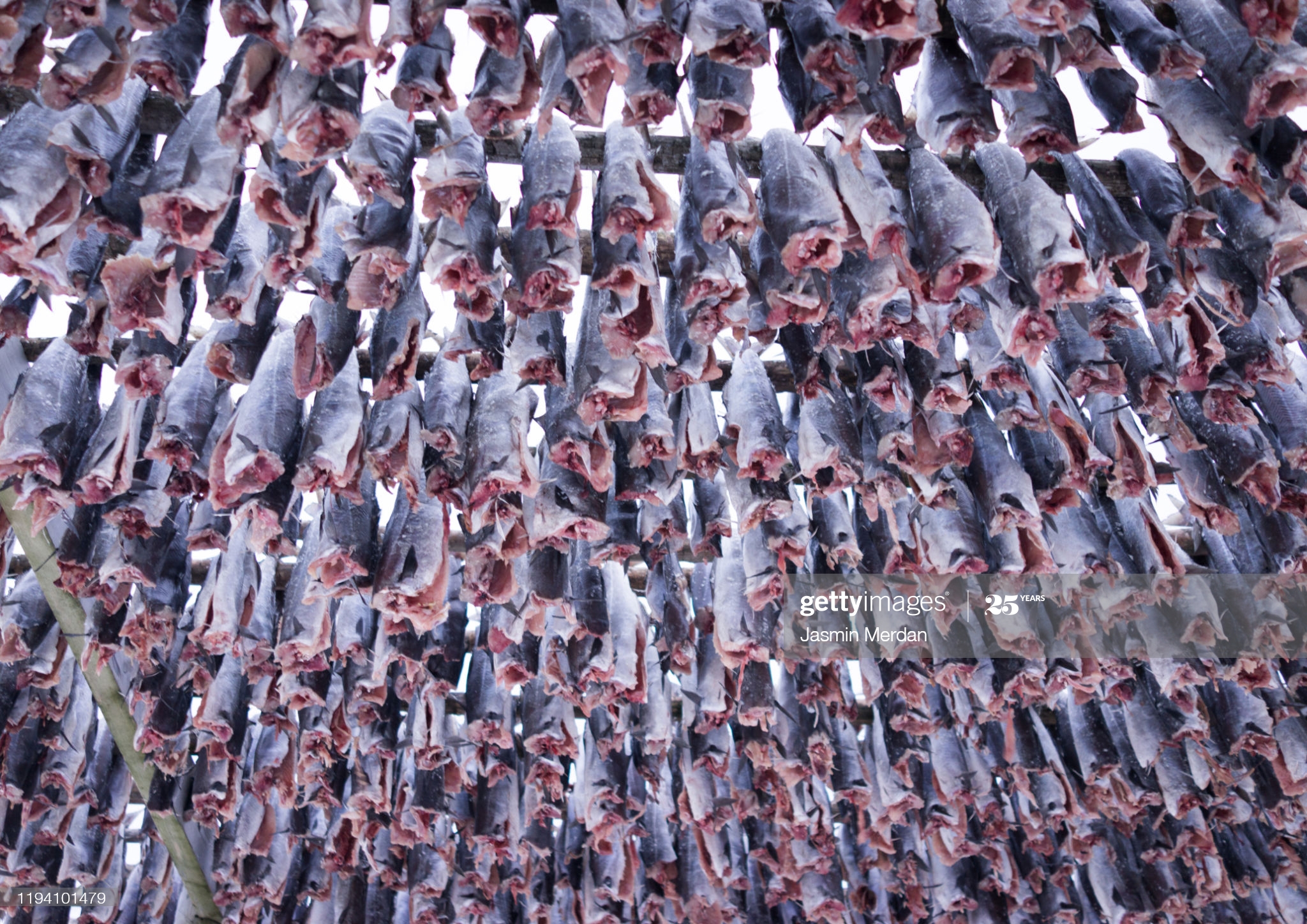 Top Survival Foods That Have Long Shelf Life –  Complete Guide