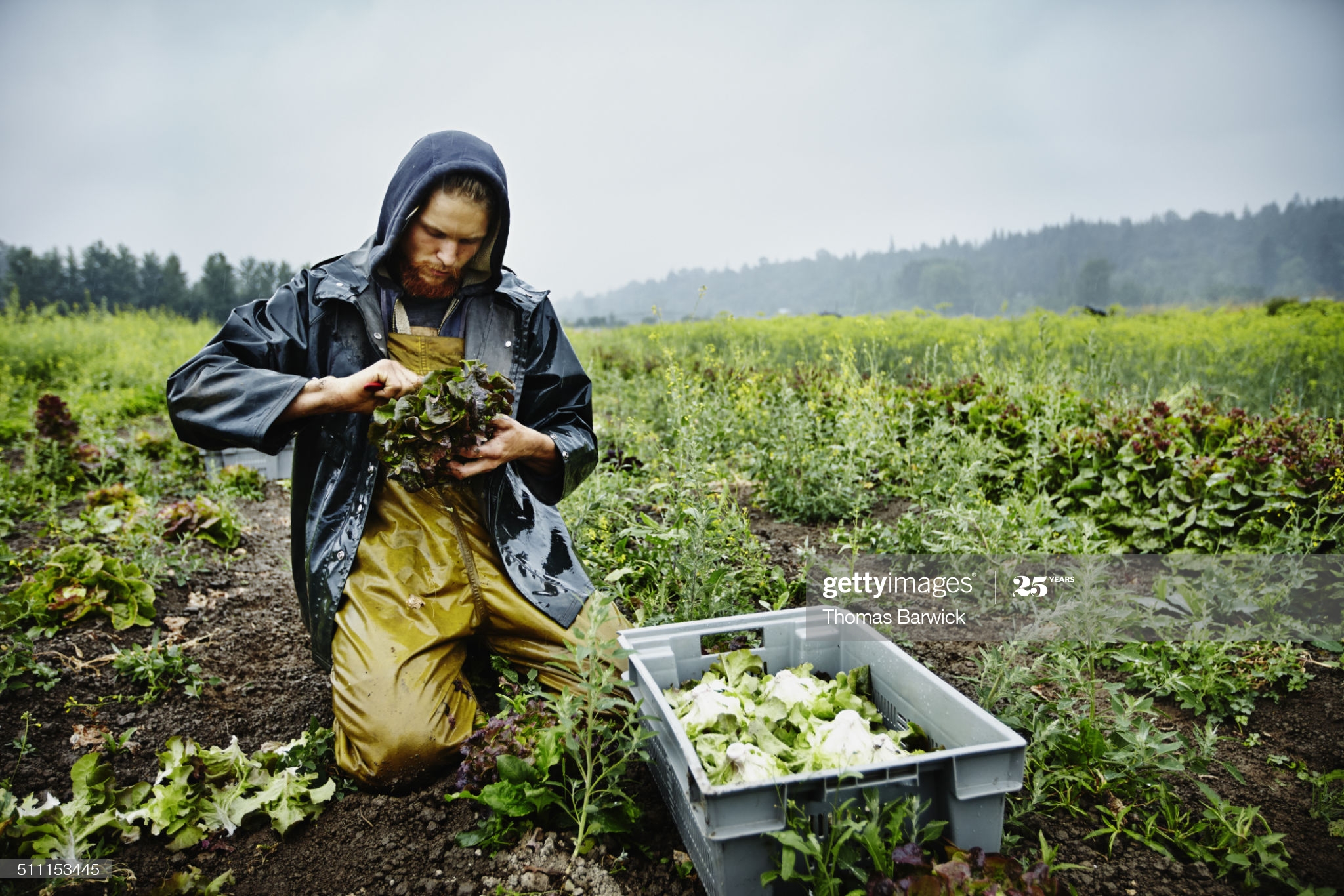 Why would you want to live like a savage? What are the benefits?