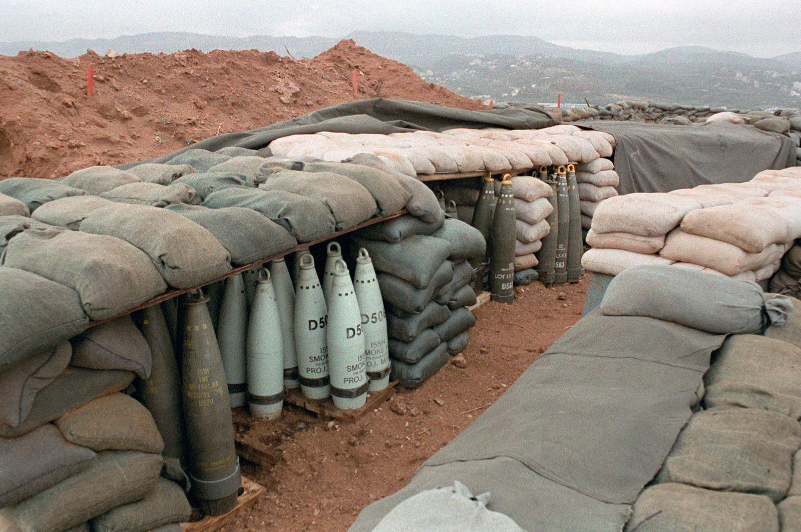 How to Vanish in the Jungle or Forest