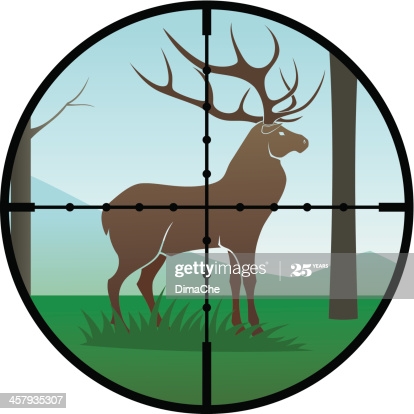What You Need to Know for Hunting Elk - How to Trail, How to Spot, Complete Overview