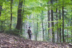 TopWildernessSurvivalKits