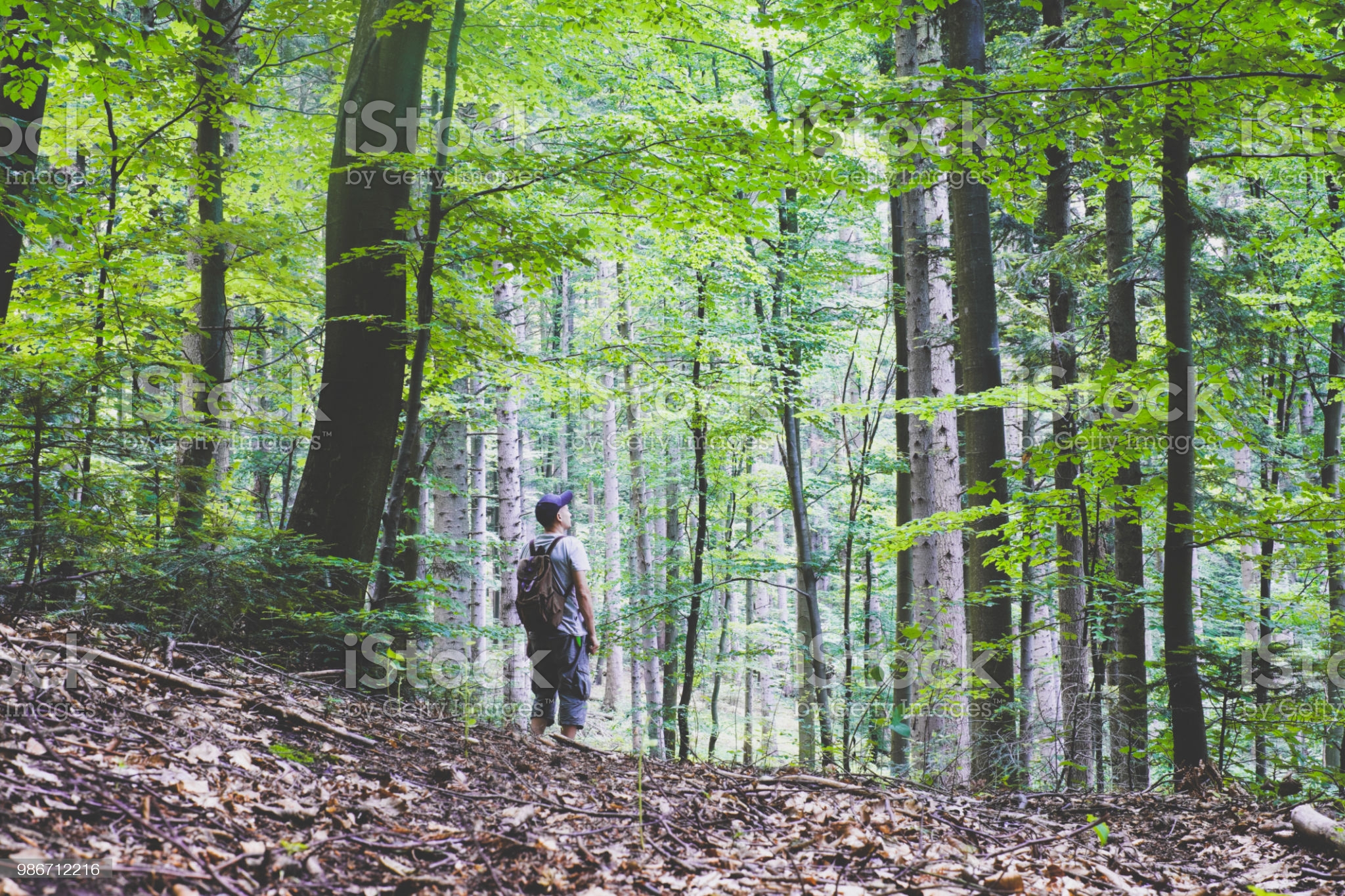 Top 10 Wilderness Survival Kits - Complete Overview, Tips & More