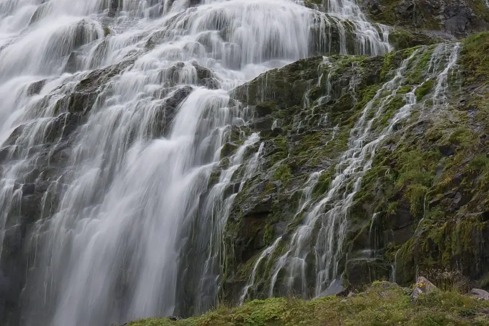 How to Find Water in the Wilderness