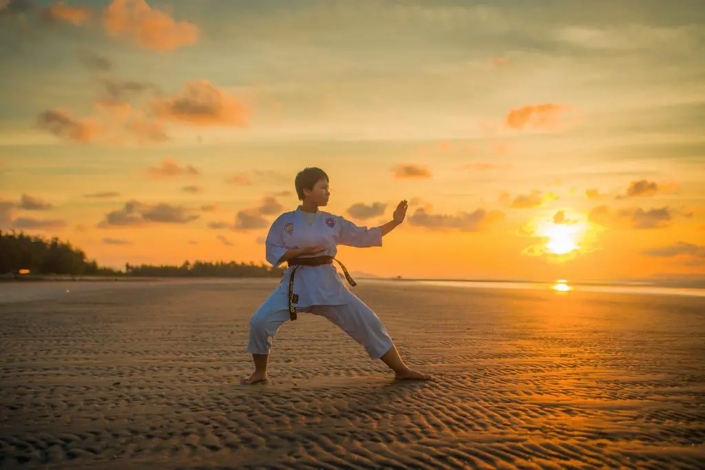 Best Martial Arts for Self-defense and Survival
