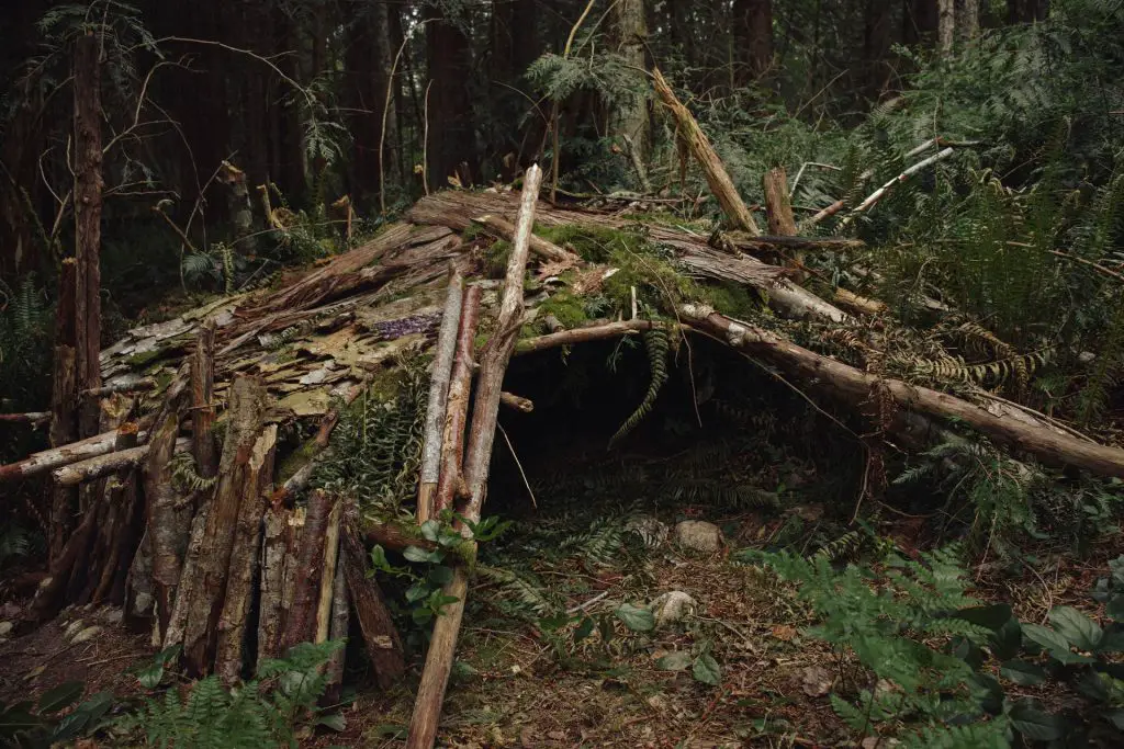 How to Build a Long-term Survival Shelter
