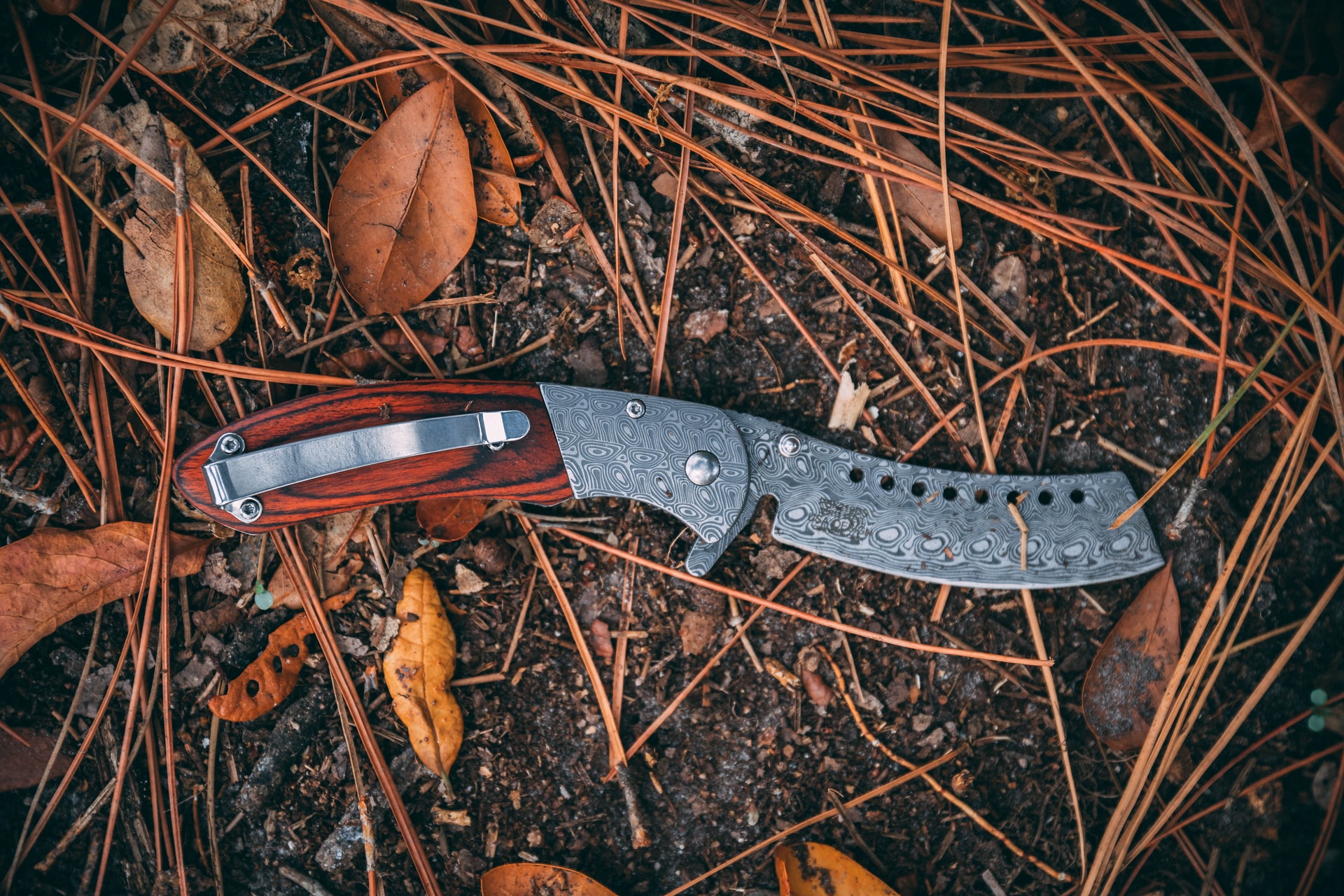 Mora Garberg Review - Comprehensive Guide, Advice and More