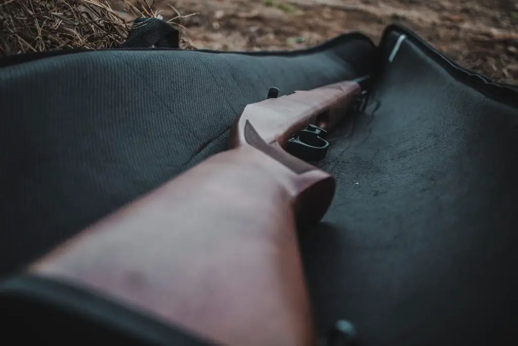 Ruger 10/22 Takedown Ultimate Survival Rifle Review