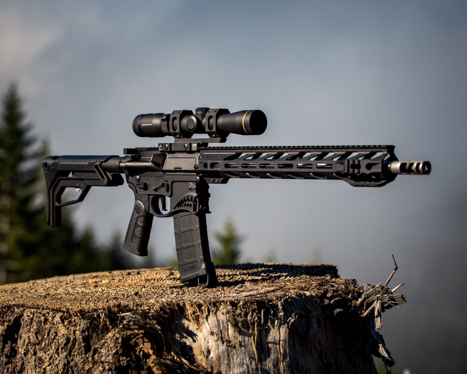 Windham Weaponry Flipup Sight Review Guide, Tips & More